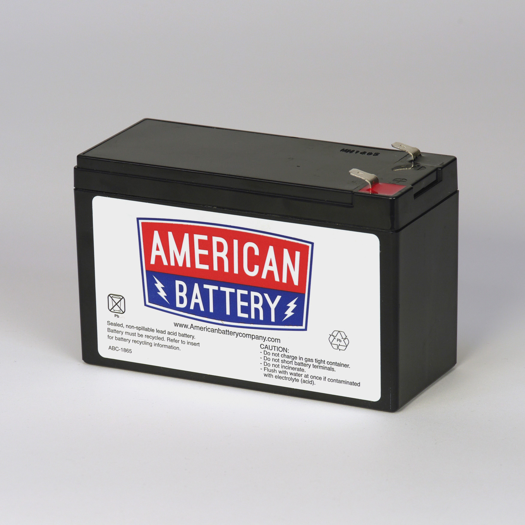 APC RBC133 Replacement Battery (Batteries Only)